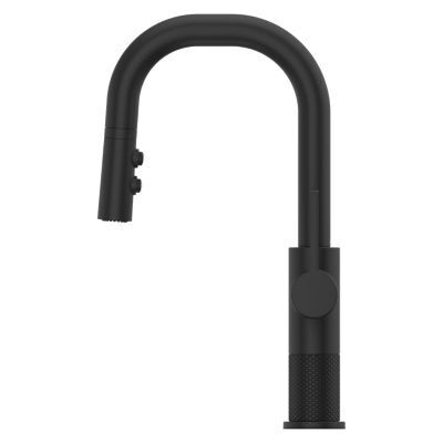 Pfister Matte Black 1-handle Pull-down Bar/prep Kitchen Faucet GT572-MTB