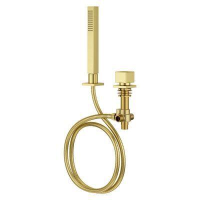 Pfister Brushed Gold Roman Tub Handshower With Diverter LG16-VRVBG