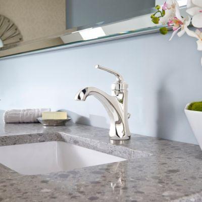 Pfister Polished Nickel Arterra Single Control Lavatory Faucet LG42-DE0D