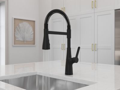 Pfister Matte Black Culinary Kitchen Faucet LG529-NECB