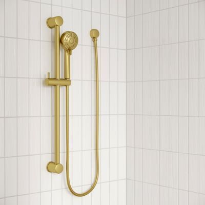Pfister Brushed Gold Ada Handheld Shower With Slide Bar LG16-500BG