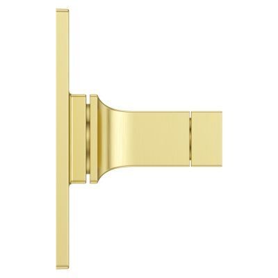 Pfister Brushed Gold Shower Valve Only Trim Without Handles R89-1VRVBG