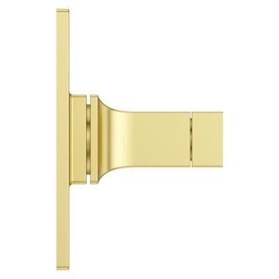 Pfister Brushed Gold Shower Valve Only Trim Without Handles