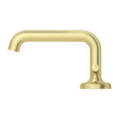 Pfister Brushed Gold 2-handle 8" Widespread Bathroom Faucet LG49-TNTBG