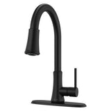 Pfister Matte Black 1-handle Pull-down Kitchen Faucet
