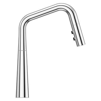Pfister Polished Chrome 1-handle Pull-down Kitchen Faucet GT529-ASRC