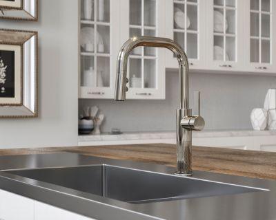 Pfister Polished Nickel 1-handle Pull-down Kitchen Faucet GT-529-MTD