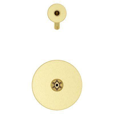 Pfister Brushed Gold 1-handle Tub & Shower Trim R897-COLBG