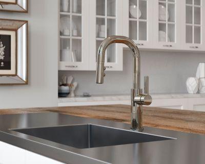 Pfister Polished Nickel 1-handle Pull-down Bar/prep Kitchen Faucet GT572-MTD