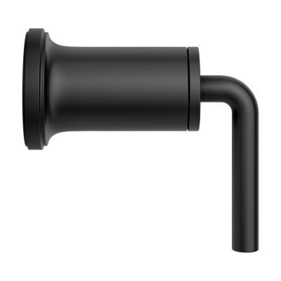 Pfister Matte Black Diverter Trim 016-TNT1B