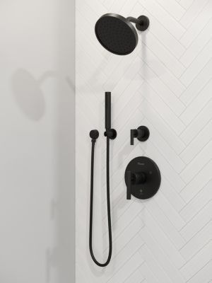 Pfister Matte Black 4 Piece Handheld Shower Kit LG16-1NCB
