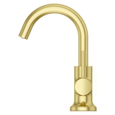 Pfister Brushed Gold Single Control Bathroom Faucet LG42-TNT2BG