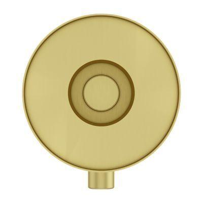 Pfister Brushed Gold Contempra Diverter Trim 016-NC1BG