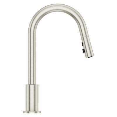 Pfister Stainless Steel 1-handle Pull-down Kitchen Faucet GT529-BIS