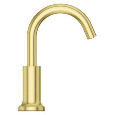 Pfister Brushed Gold Single Control Bathroom Faucet LG42-TNT2BG