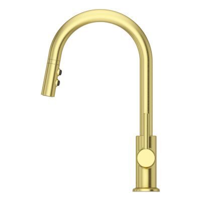 Pfister Brushed Gold 1-handle Pull-down Kitchen Faucet LG529-SABG