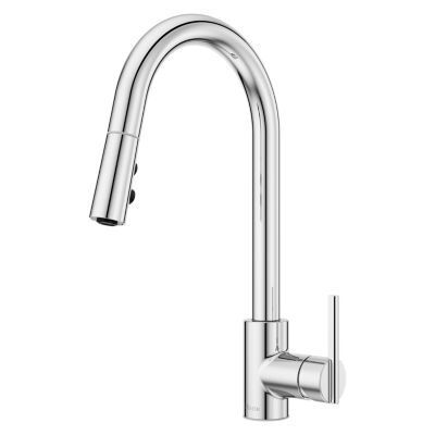 Pfister Polished Chrome 1-handle Pull-down Kitchen Faucet GT529-BIC