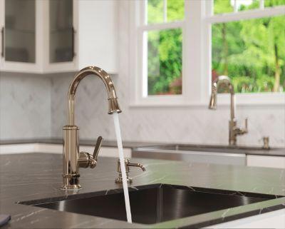 Pfister Polished Nickel 1-handle Bar & Prep Faucet GT72-TDD