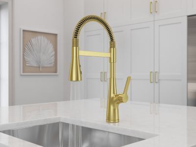 Pfister Brushed Gold Culinary Kitchen Faucet LG529-NECBG