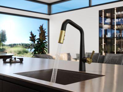 Combo-matte Black and Brushed Gold 1-handle Pull-down Kitchen Faucet GT529-ASRBBG