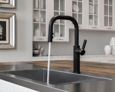 Pfister Matte Black 1-handle Pull-down Kitchen Faucet GT-529-MTB
