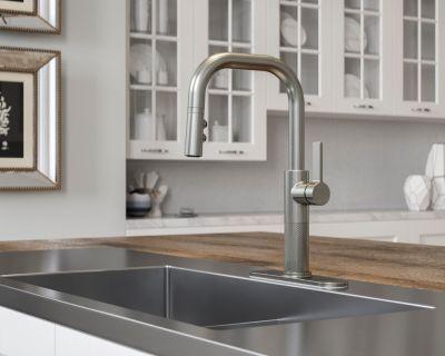 Pfister Stainless Steel 1-handle Pull-down Kitchen Faucet GT-529-MTS