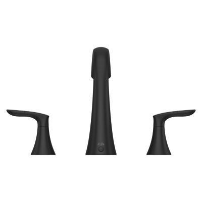 Pfister Matte Black 2-handle Roman Tub Trim RT6-5WRB