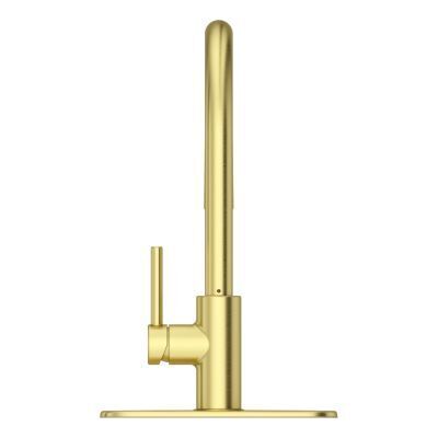 Pfister Brushed Gold 1-handle Pull-down Kitchen Faucet LG529-SABG
