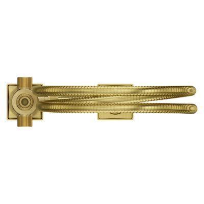 Pfister Brushed Gold Roman Tub Handshower With Diverter LG16-VRVBG
