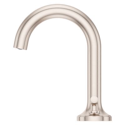 Pfister Brushed Nickel 2-handle 8" Widespread Bathroom Faucet LG49-TNT3K