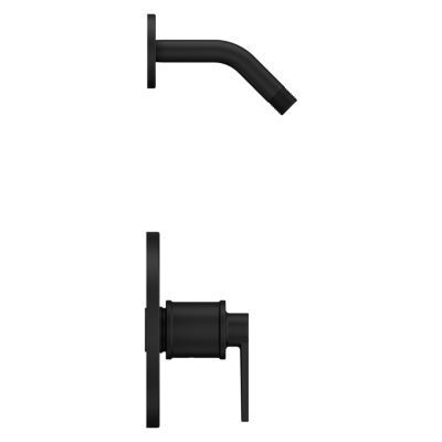 Pfister Matte Black 1-handle Tub & Shower Trim