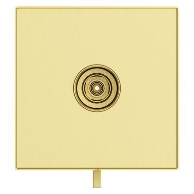 Pfister Brushed Gold Trim Kit for Thermostatic Shower R89-VRVBG