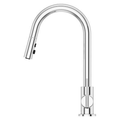 Pfister Polished Chrome 1-handle Pull-down Kitchen Faucet GT529-BIC