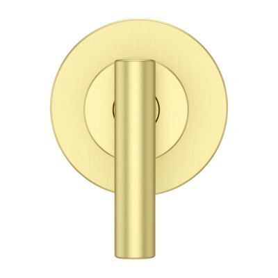 Pfister Brushed Gold Contempra Diverter Trim 016-NC1BG