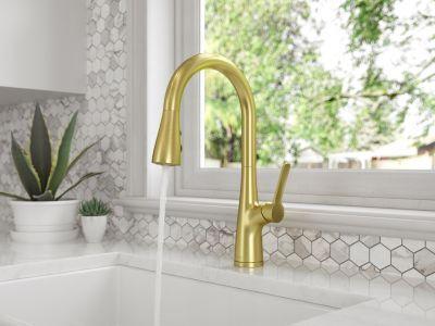Pfister Brushed Gold Pull-down Kitchen Faucet LG529-NEBG