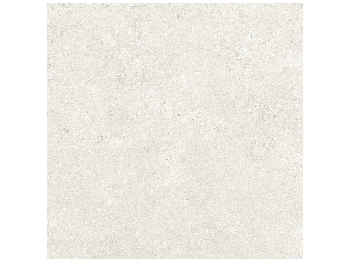 Anatolia 20X20 Coliseo Pearl Matte Porcelain Tile 4500-1040-0 Pearl 20x20 - premium natural stone mosaic tile from Anatolia Tile, available at PoshHaus showroom in Keene, NH