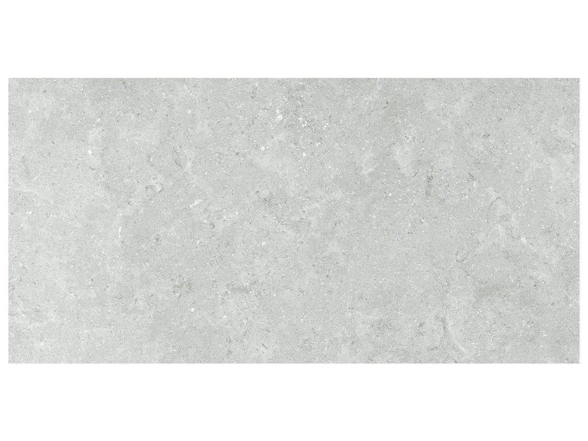 Anatolia 12X24 Coliseo Platinum Matte Porcelain Tile 4500-1027-0 Platinum 12x24 - premium natural stone mosaic tile from Anatolia Tile, available at PoshHaus showroom in Keene, NH