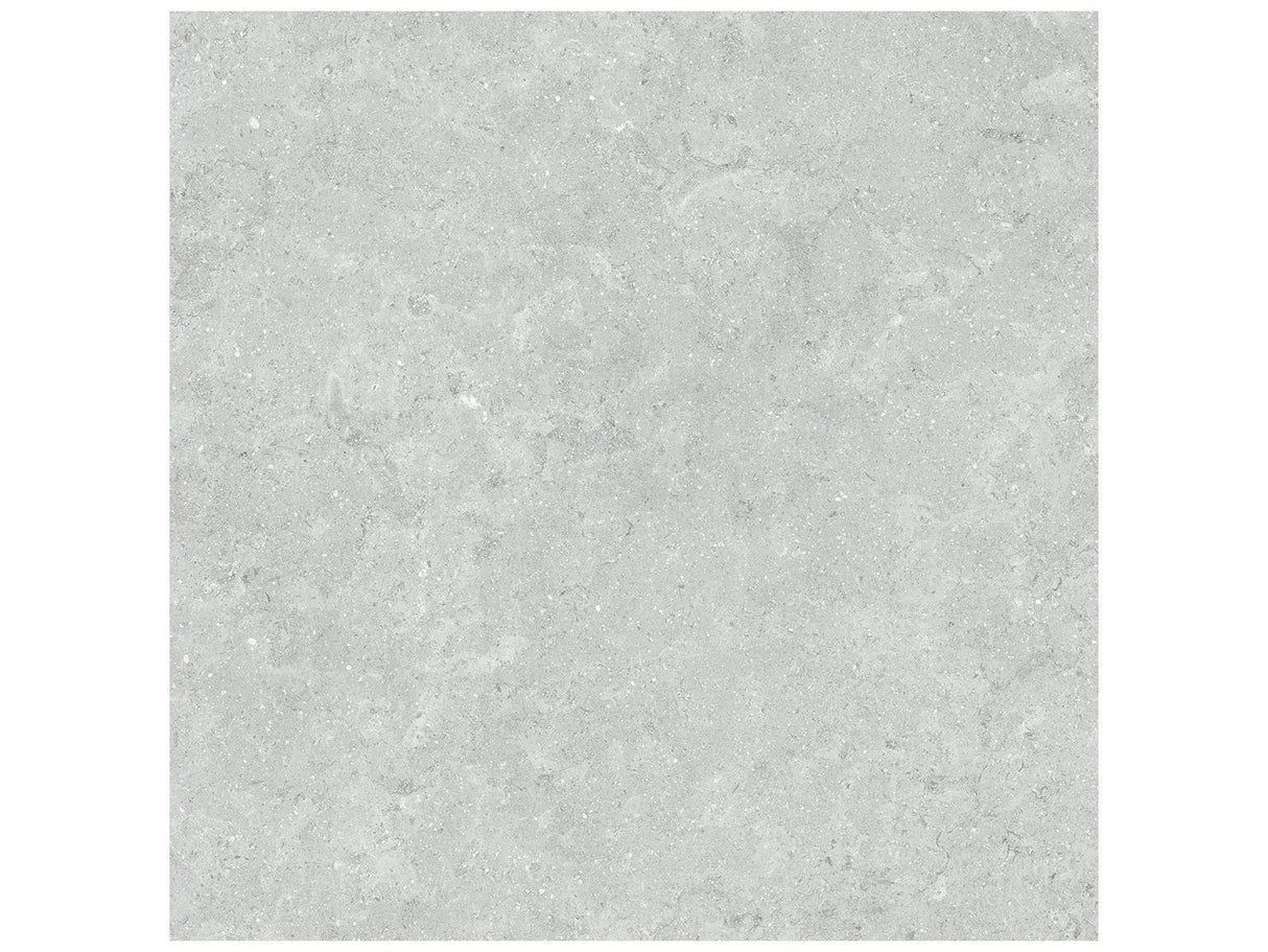 Anatolia 20X20 Coliseo Platinum Matte Porcelain Tile 4500-1038-0 Platinum 20x20 - premium natural stone mosaic tile from Anatolia Tile, available at PoshHaus showroom in Keene, NH