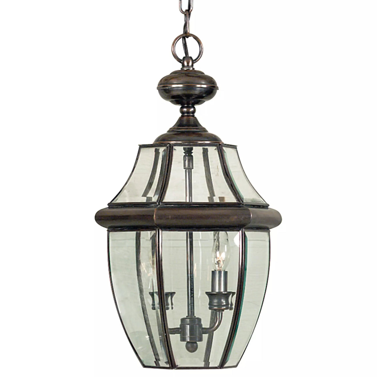 Quoizel Newbury 2 Light 10" Wide Outdoor Pendant Lantern with Clear Glass