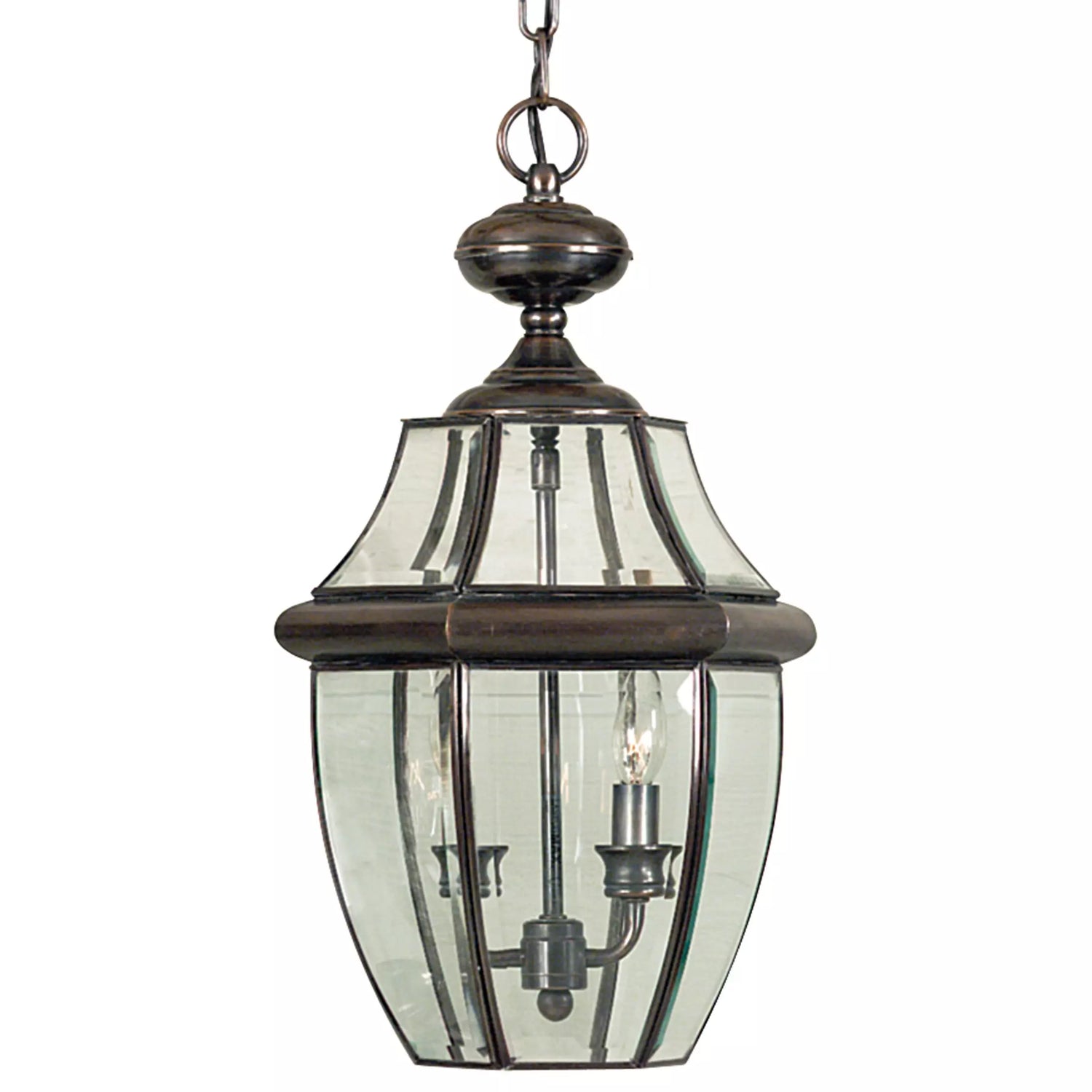 Quoizel Newbury 2 Light 10" Wide Outdoor Pendant Lantern with Clear Glass