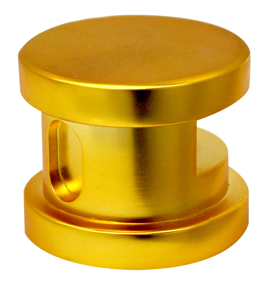 SteamSpa Steamhead with Aromatherapy Reservoir in Polished Gold G-SHGOLD