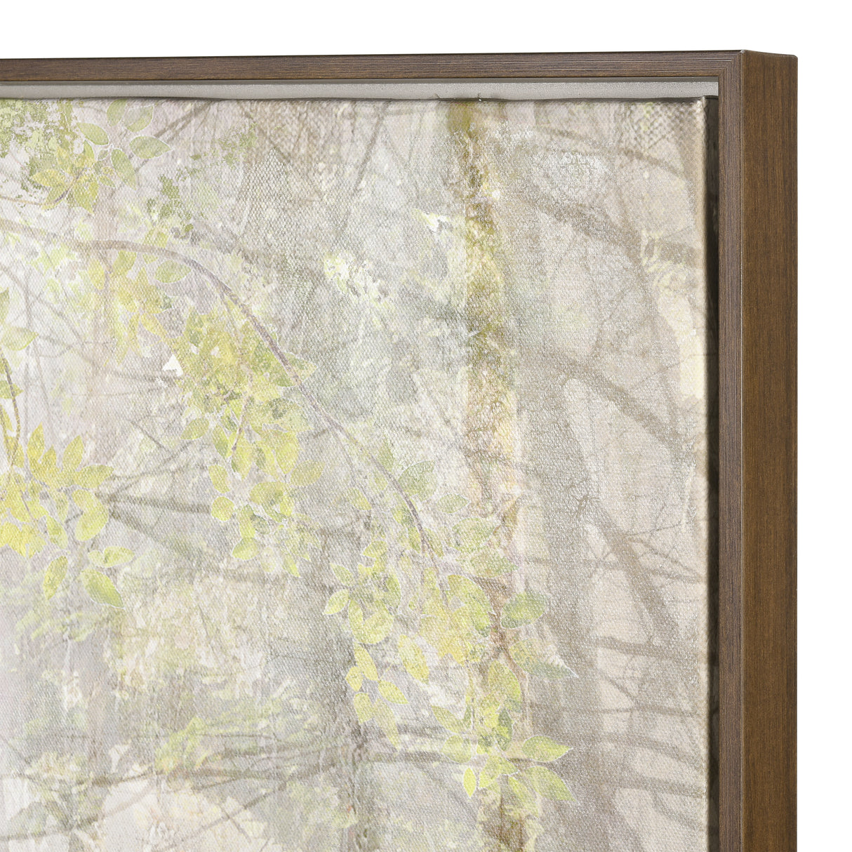 Elk S0016-12052 Morning Forest Framed Wall Art - Green