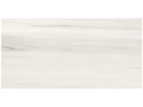 Anatolia Tile 24X48 Mayfair Suave Bianco Polished Rectified Porcelain 4500-0404-1 Suave Bianco 24x48" - premium natural stone mosaic tile from Anatolia Tile, available at PoshHaus showroom in Keene, NH