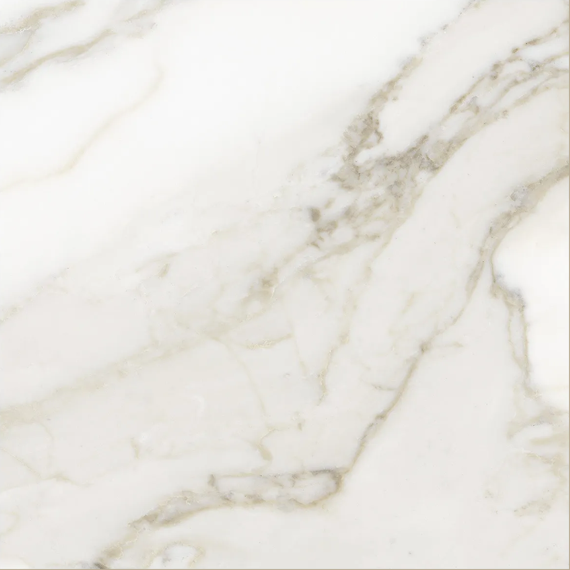 Anatolia 13X13 Lumino Calacatta Matte Porcelain Tile 4500-1065-0 Calacatta 13x13 - premium natural stone mosaic tile from Anatolia Tile, available at PoshHaus showroom in Keene, NH