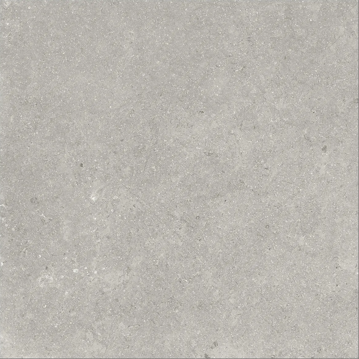 Anatolia 20X20 Coliseo Graphite Matte Porcelain Tile 4500-1037-0 Graphite 20x20 - premium natural stone mosaic tile from Anatolia Tile, available at PoshHaus showroom in Keene, NH