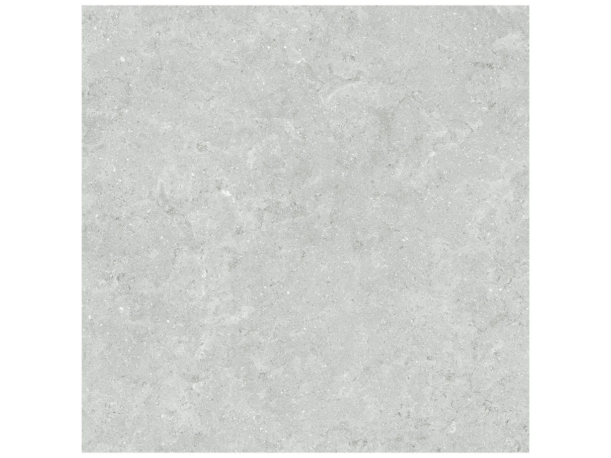 Anatolia 20X20 Coliseo Platinum Matte Porcelain Tile 4500-1038-0 Platinum 20x20 - premium natural stone mosaic tile from Anatolia Tile, available at PoshHaus showroom in Keene, NH