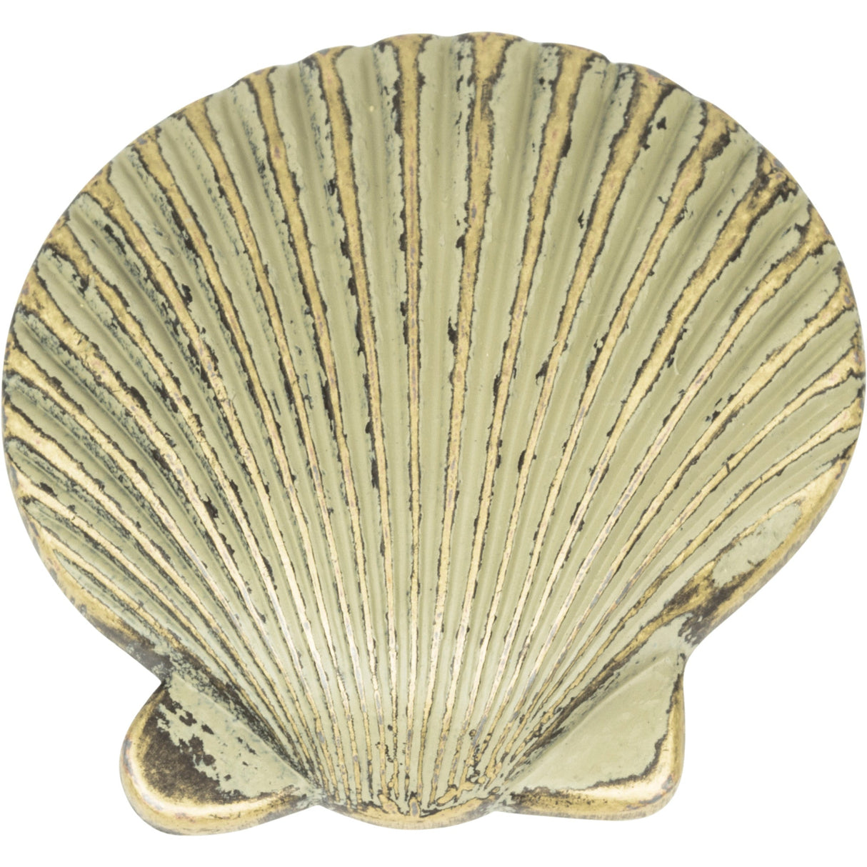 Atlas Homewares Clamshell Knob 2 Inch Verdigris