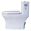 EAGO TB353 DUAL FLUSH ONE PIECE ECO-FRIENDLY HIGH EFFICIENCY LOW FLUSH CERAMIC TOILET