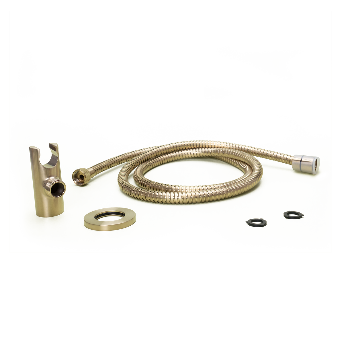 Modern Round 2-Piece Handheld Shower Kit with 60 in. Hose in Brushed Gold