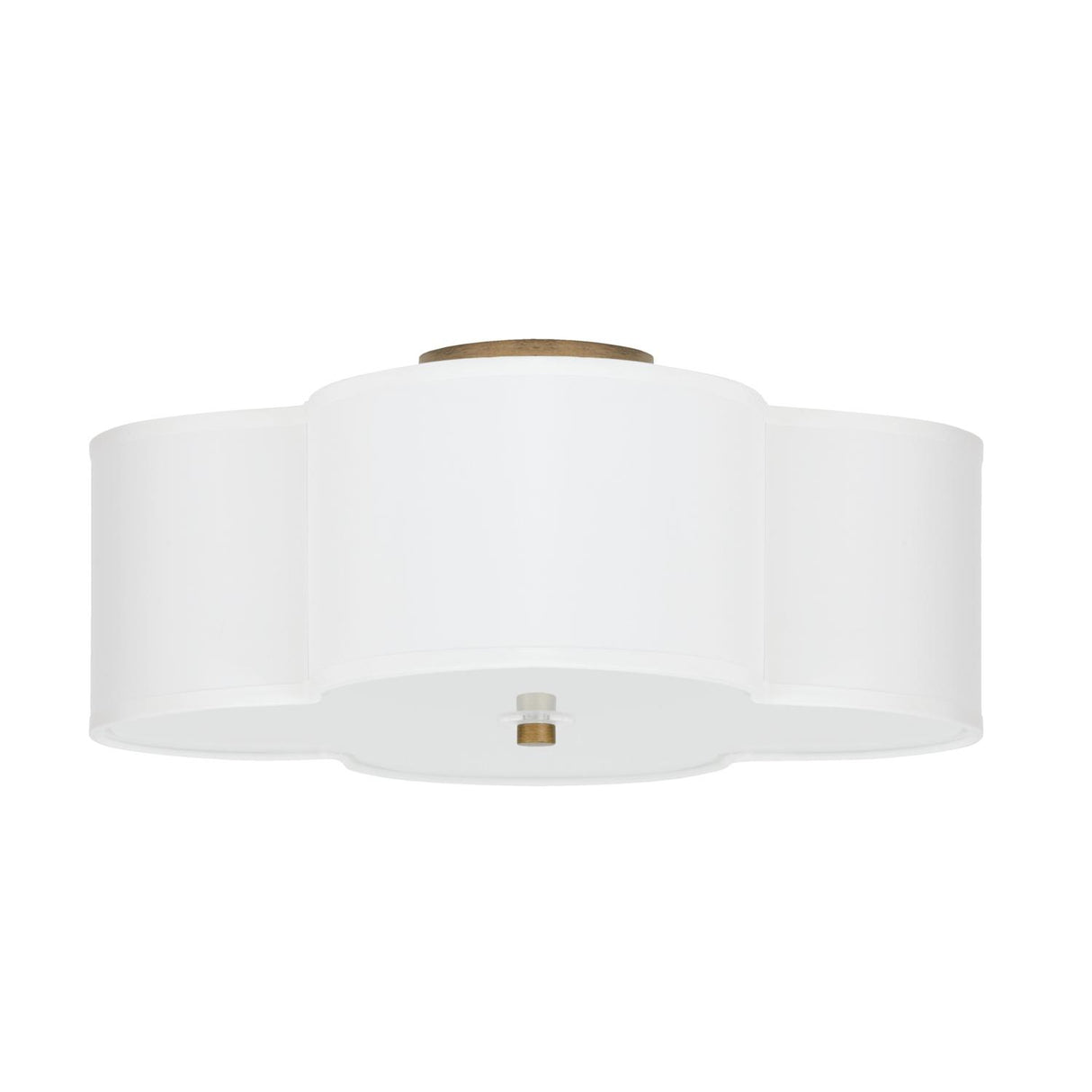 Capital Lighting 4453BG-561 Quinn 4 Light Semi-Flush Brushed Gold